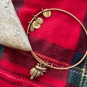 ✨2 for $30✨ Alex and Ani Charm Bangle